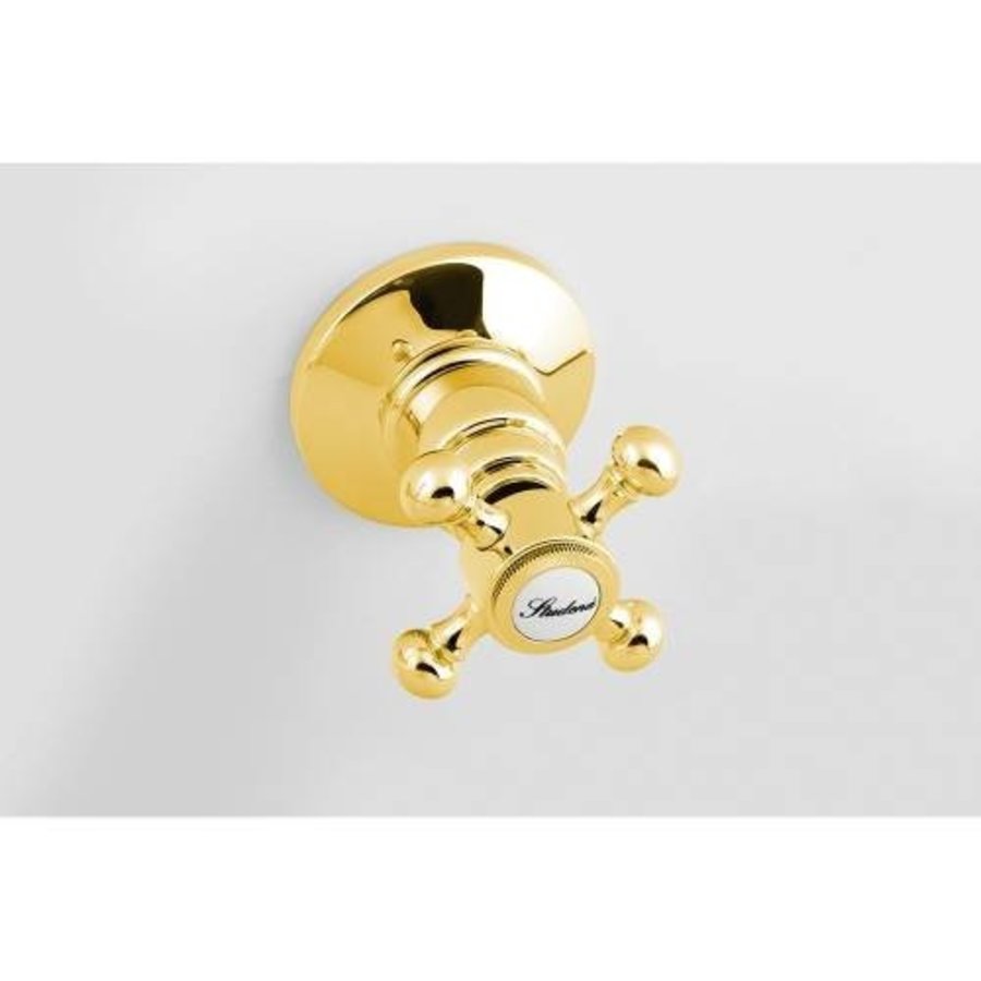 Douchekraan Inbouw Sapho Antea Mengkraan Afbouwdeel 2-weg Goud