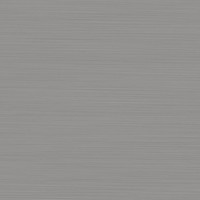 Toiletborstel Met Houder Tiger Tune RVS Geborsteld / Zwart