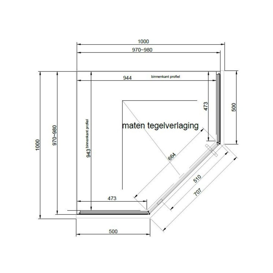 Douchecabine Van Rijn Vijfhoek Aluminium Zwart 100x200 Dubbelzijdige Nanocoating 6 mm Helder Glas