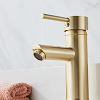 Wastafelkraan Boss & Wessing Gold Geborsteld Messing Mat Goud