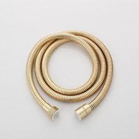 Doucheslang Boss & Wessing Gold 150 cm Geborsteld Messing Mat Goud