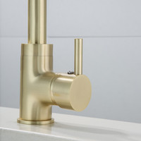 Wastafelkraan Boss & Wessing Gold Gebogen Uitloop Geborsteld Messing Mat Goud