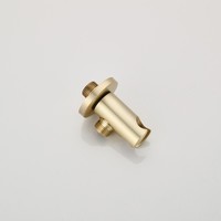 Handdouchehouder Boss & Wessing Gold Wandbevestiging Geborsteld Messing Mat Goud