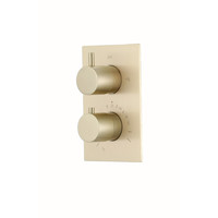 Inbouw Douchekraan Boss & Wessing Gold Thermostatisch Geborsteld Messing Mat Goud