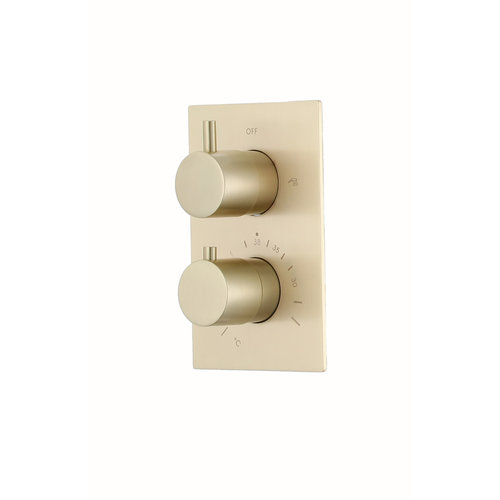 Inbouw Douchekraan Boss & Wessing Gold Thermostatisch Geborsteld Messing Mat Goud 