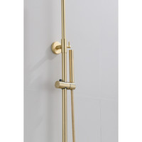 Opbouw Regendouche Set Boss & Wessing Gold Ronde Hoofddouche 30 cm Mat Goud