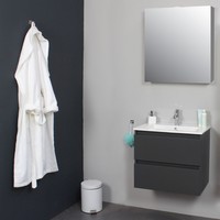 Badkamermeubel BWS Pepper Wastafel Porselein Incl Spiegelkast Met Kraangat 60x55x46 cm Antraciet