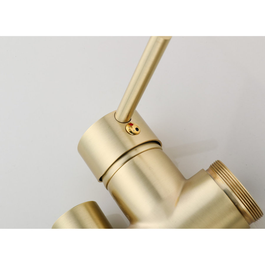 Vrijstaande Badkraan Boss & Wessing Gold Pro Geborsteld Messing Mat Goud met Zwarte Doucheslang