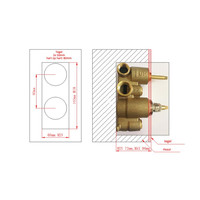 Inbouw Regendouche Set Boss & Wessing Gold Plafonduitloop en 30 cm Hoofddouche Mat Goud