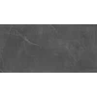 Vloertegel Stonemood 60x120 cm Steel  (Prijs per m2)