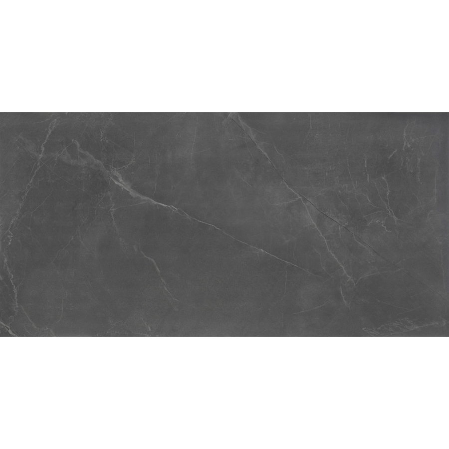 Vloertegel Stonemood 60x120 cm Steel  (Prijs per m2)