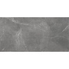 TS-Tiles Vloertegel Stonemood 60x120 cm Grey (Prijs per m2)