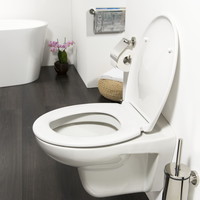 Toiletzitting Tiger Ventura Softclose Duroplast Wit