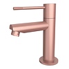 Best Design Toiletkraan Best Design Lyon-Ribera Uitloop Recht 14 cm 1-hendel Mat Rose Goud