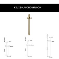 Wiesbaden Inbouw Regendouche Set Caral Rond Plafonduitloop Geborsteld Messing Goud PVD Coating