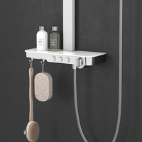 Regendouche opbouwset Boss & Wessing Bruce Met Zeeplegger Wit