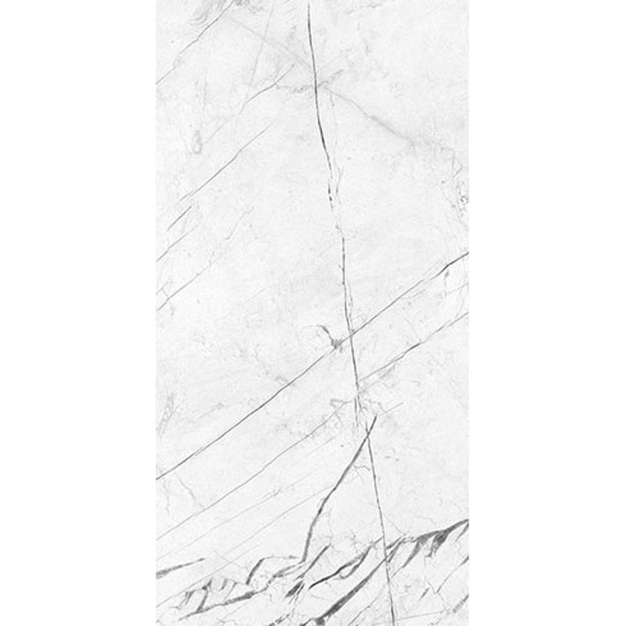 Vloertegel XL Energieker Ekxtreme Marquina Naturale 60x120 cm Marmerlook Mat Wit (prijs per m2)