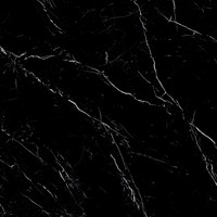 Vloertegel Energieker Ekxtreme Naturale Marquina Black Mat Zwart 60x60 cm (prijs per m2)