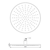 Regendouche Kop Brauer Gold Edition 30 cm Geborsteld Goud