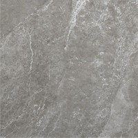 Vloertegel Alaplana P.E.Tenby Slipstop Anthracite 60x60 cm Antraciet (doosinhoud 1.42m2) (prijs per m2)