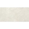 Alaplana Vloertegel Alaplana P.E.Tenby Slipstop White 60x120 cm Wit (doosinhoud 1.43m2) (prijs per m2)