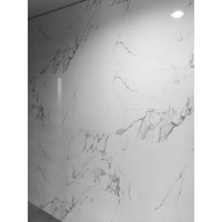Vloertegel Profiker Carrara Gepolijst 60x120cm (Doosinhoud 1,44m²) (prijs per m2)