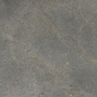 Vloertegel TS-Tiles Stonemaster Graphite 60x60 cm (doosinhoud 1.43m2)(prijs per m2)