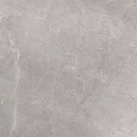 Vloertegel TS-Tiles Stonemaster Silver 60x60 cm (doosinhoud 1.43m2)(prijs per m2)