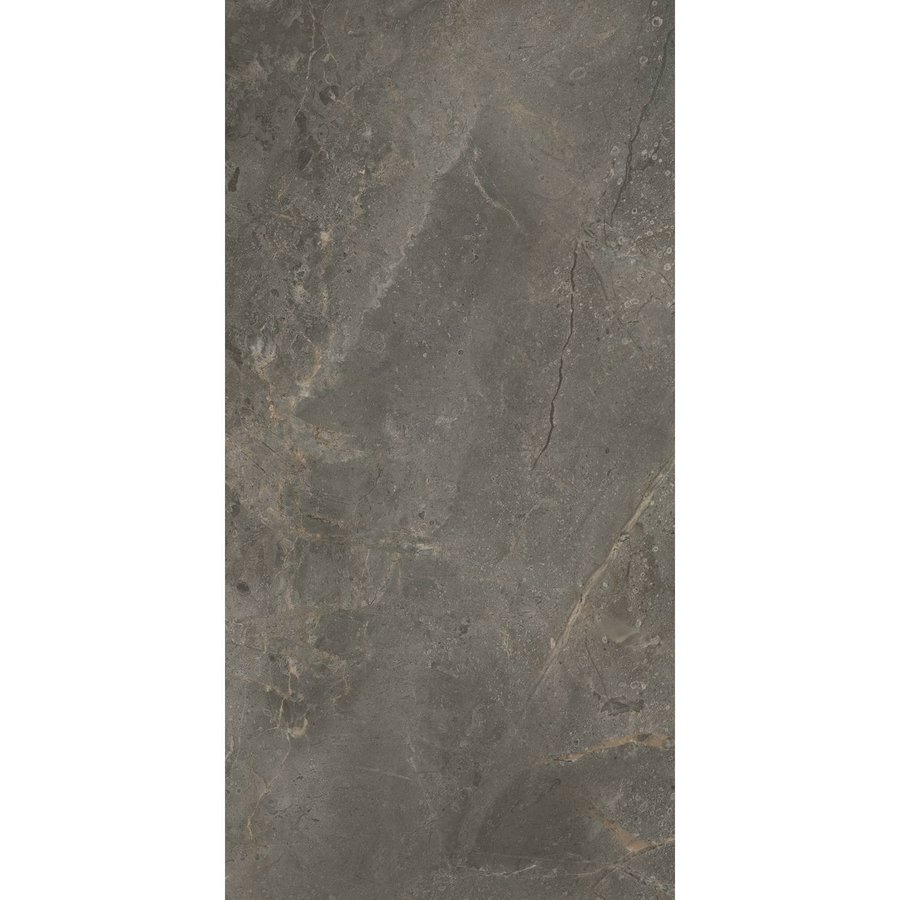 Vloertegel TS-Tiles Stonemaster Graphite 60x120 cm (doosinhoud 1.43m2) (prijs per m2)