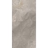 TS-Tiles Vloertegel TS-Tiles Stonemaster Silver 60x120 cm (doosinhoud 1.43m2) (prijs per m2)