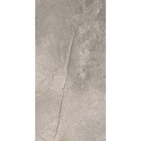 Vloertegel TS-Tiles Stonemaster Silver 60x120 cm (doosinhoud 1.43m2) (prijs per m2)