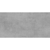 Vloertegel TS-Tiles Arctec Beton Grey 30x60 cm (doosinhoud 1.44m2)