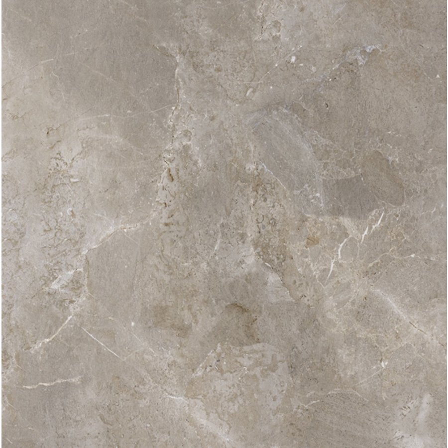 Douglas & Jones Vloer en Wandtegel OnebyOne Palladium Grey 100x100cm (Doosinhoud 2m2) (prijs per m2)