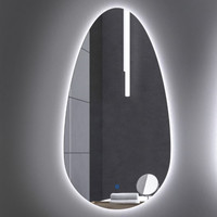 Badkamerspiegel Gliss Triton LED Verlichting 110x60 cm