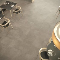 Vloertegel Logan Grigio 60X60Cm (prijs per m2)