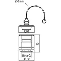 Complementos Afvoerplug met overloop Messing stop met ketting 13474320