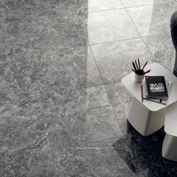 Vloertegel  Lux Grigio Imperiale 120x120 cm Per Stuk (prijs per m2)