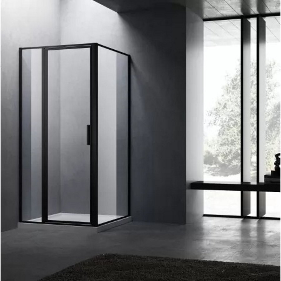 BWS Nisdeur Recta Met Vast Paneel 90x200 cm 8 mm NANO Glas Black Brushed Profiel OP=OP