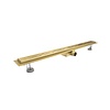 Douchegoot Aqua Splash Colorato Compleet 70cm Geborsteld Goud