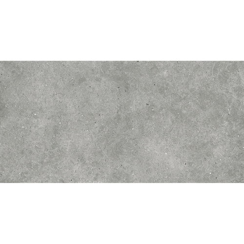 Vloertegel Euro Flyzone Soul 60x120 cm Grey (Doosinhoud 1.44 m2) 