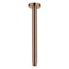 Best Design Plafondarm Best Design Dijon Rond 30cm Met Rozet PVD Brons