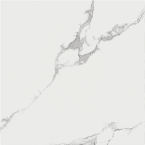 Tegel Alaplana Pune 120x120 cm Marmer Look (prijs per m2) 