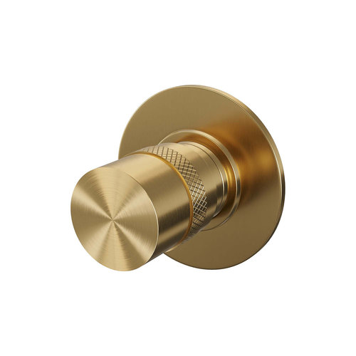 Stopkraan Brauer Gold Edition met Ronde Knop en Ronde Rozet Geborsteld Goud 