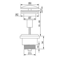 Waste Brauer Brushed Edition Always Open Geborsteld RVS