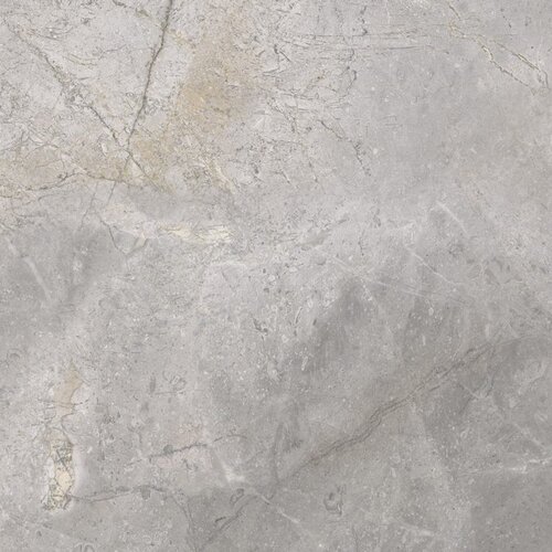 Vloertegel Cerrad Masterstone 60x60 cm Gepolijst Grijs (Prijs per m2) 