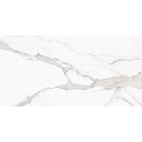 Vloertegel Alaplana P.E. Palladio Statuario Mat Satin 60x120 cm Gerectificeerd Marmerlook (Doosinhoud 1.44 m2) (prijs per m2) 