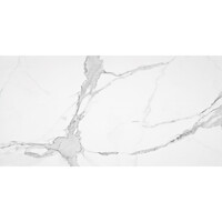 Vloertegel Alaplana P.E. Palladio Statuario Gepolijst 60x120 cm Gerectificeerd Marmerlook (Doosinhoud 1.44 m2) (prijs per m2)