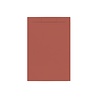 Allibert Douchebak + Sifon Allibert Rectangle 120x80 cm Mat Rood Terracotta