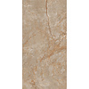 Vloer- en Wandtegel San Pedro 60x120 cm Glanzend Beige (Prijs per M2)