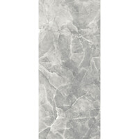 Vloer- en Wandtegel Energieker Ekxtreme 120x280 cm Glanzend Onyx Grey (Prijs per Tegel)